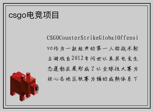 csgo电竞项目